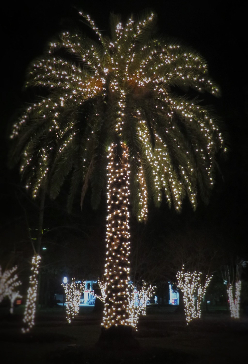 Home for the&nbsp;Holidays