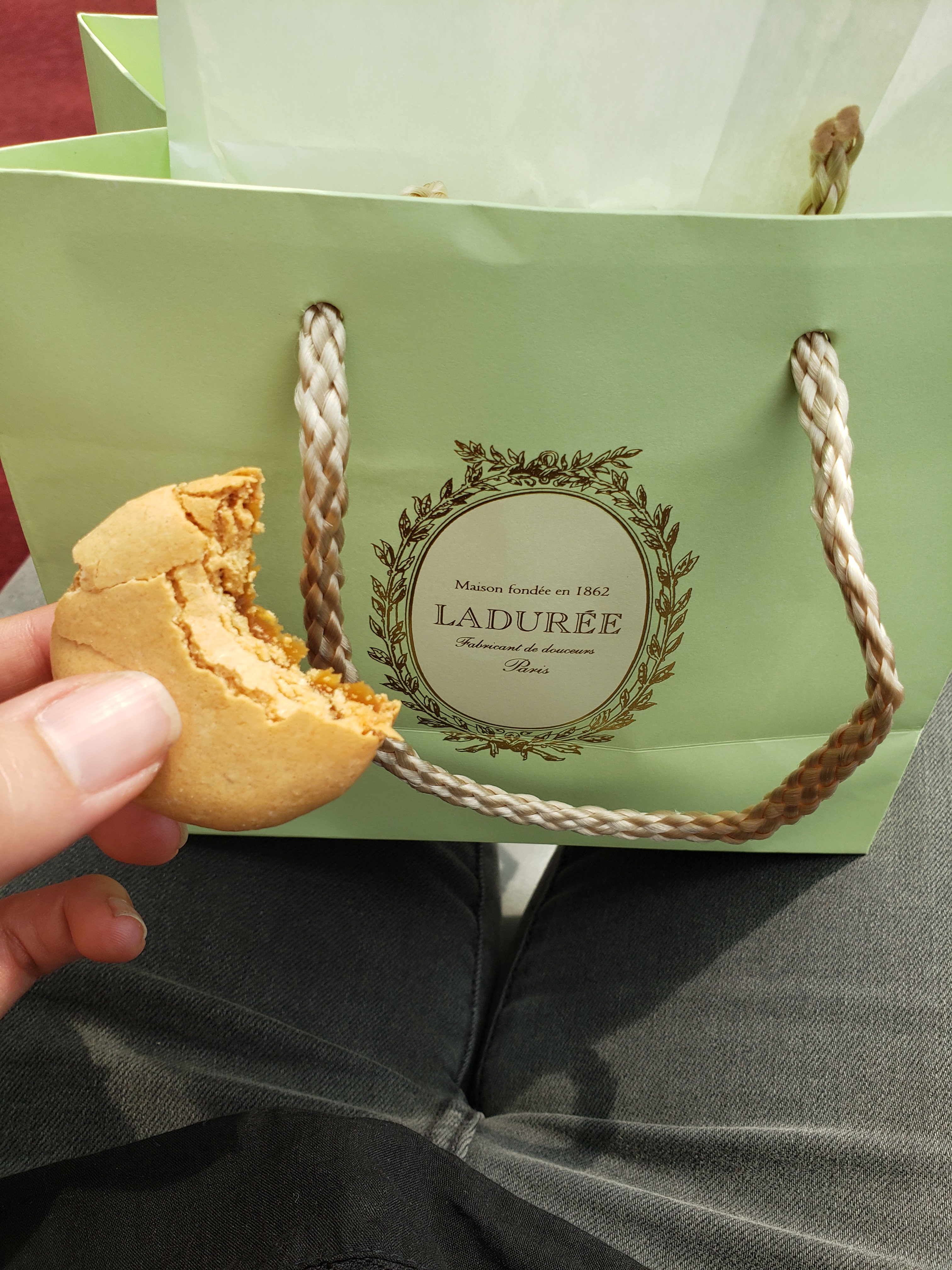 Signature pistachio green Lauree sac on my lap with a half eaten macaron in my hand