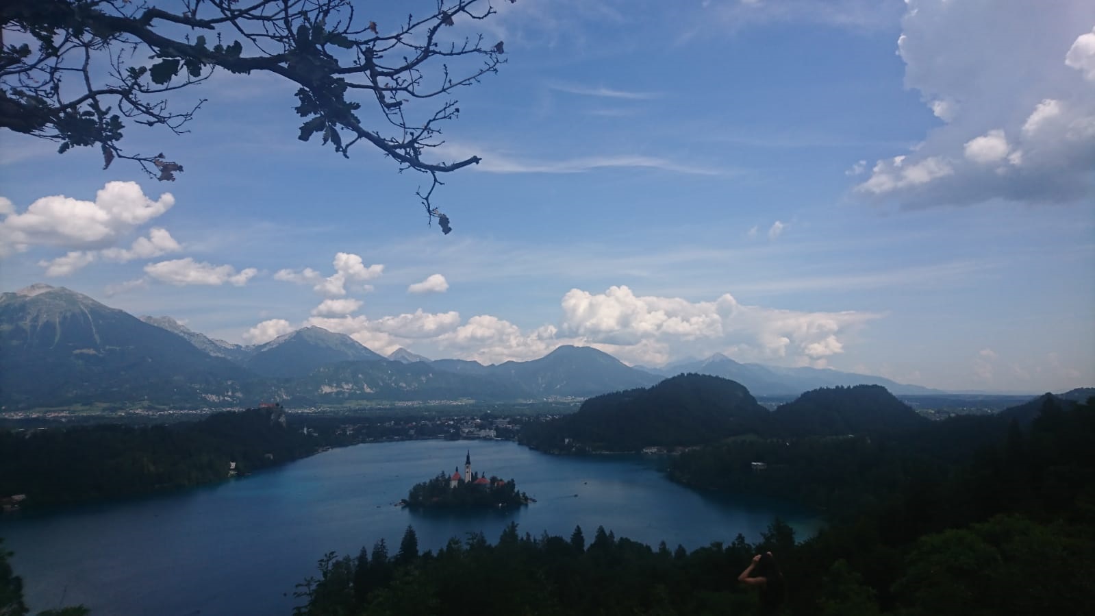 bled from lookout point
