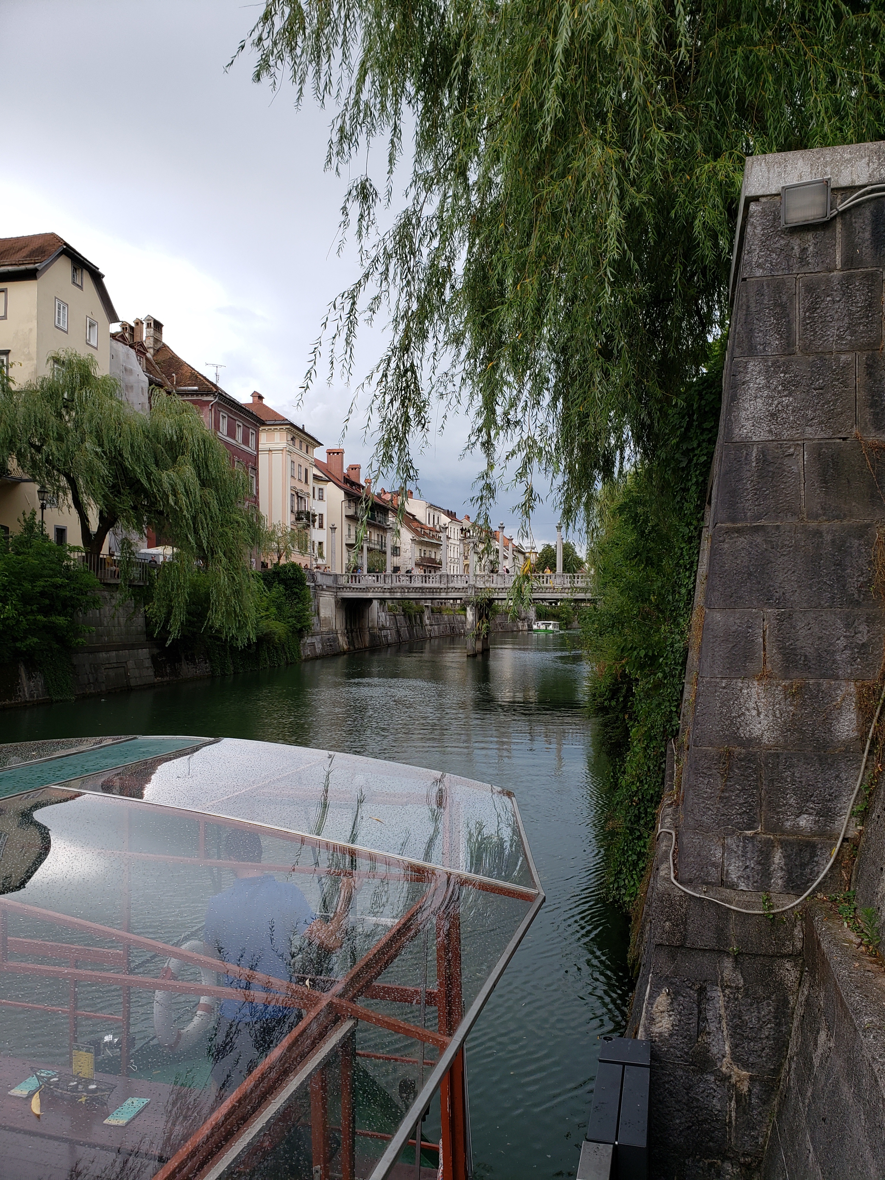 photo from the queue of the river. Bottom left corner you can see the front of the glass topped boat, right side shows the brick wall of the river with a weeping willow hanging over it. View in the background is the city with a bridge.