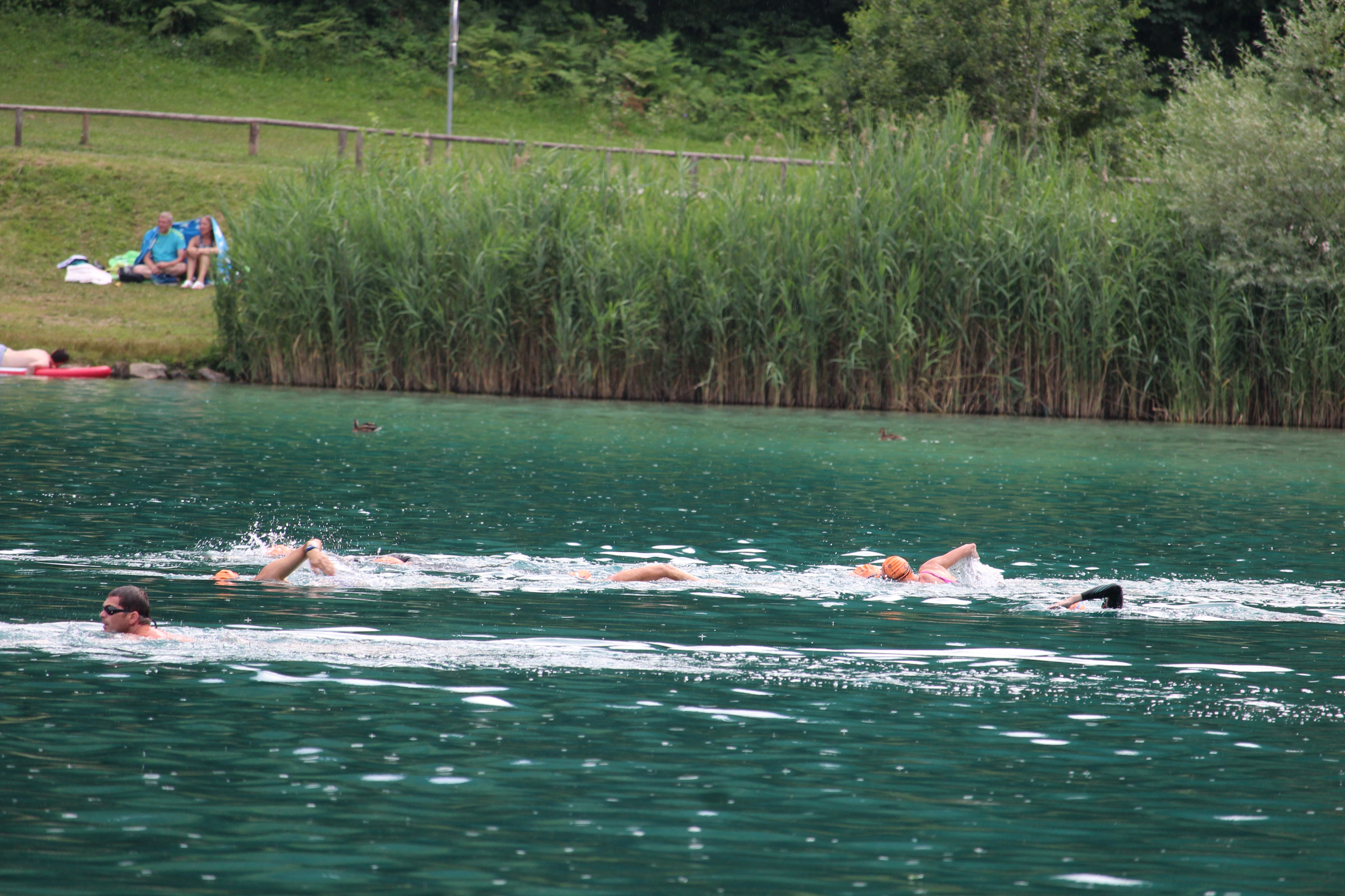 swimmers in the water swimming