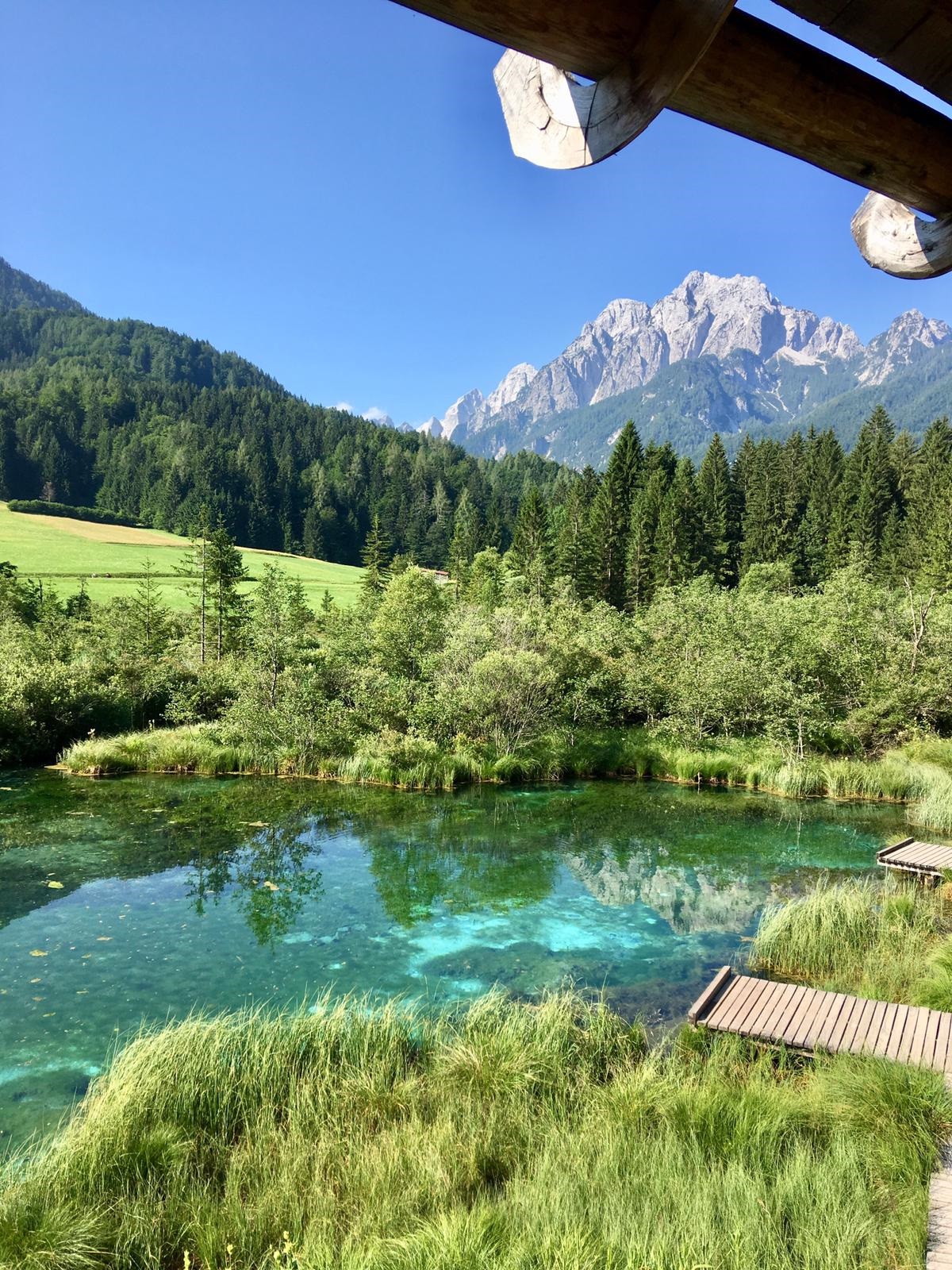 foreground is a long grass, with little wooden docks leading to a small body of transparent green water with pine trees in the background. In the far background there is a tall rocky mountain