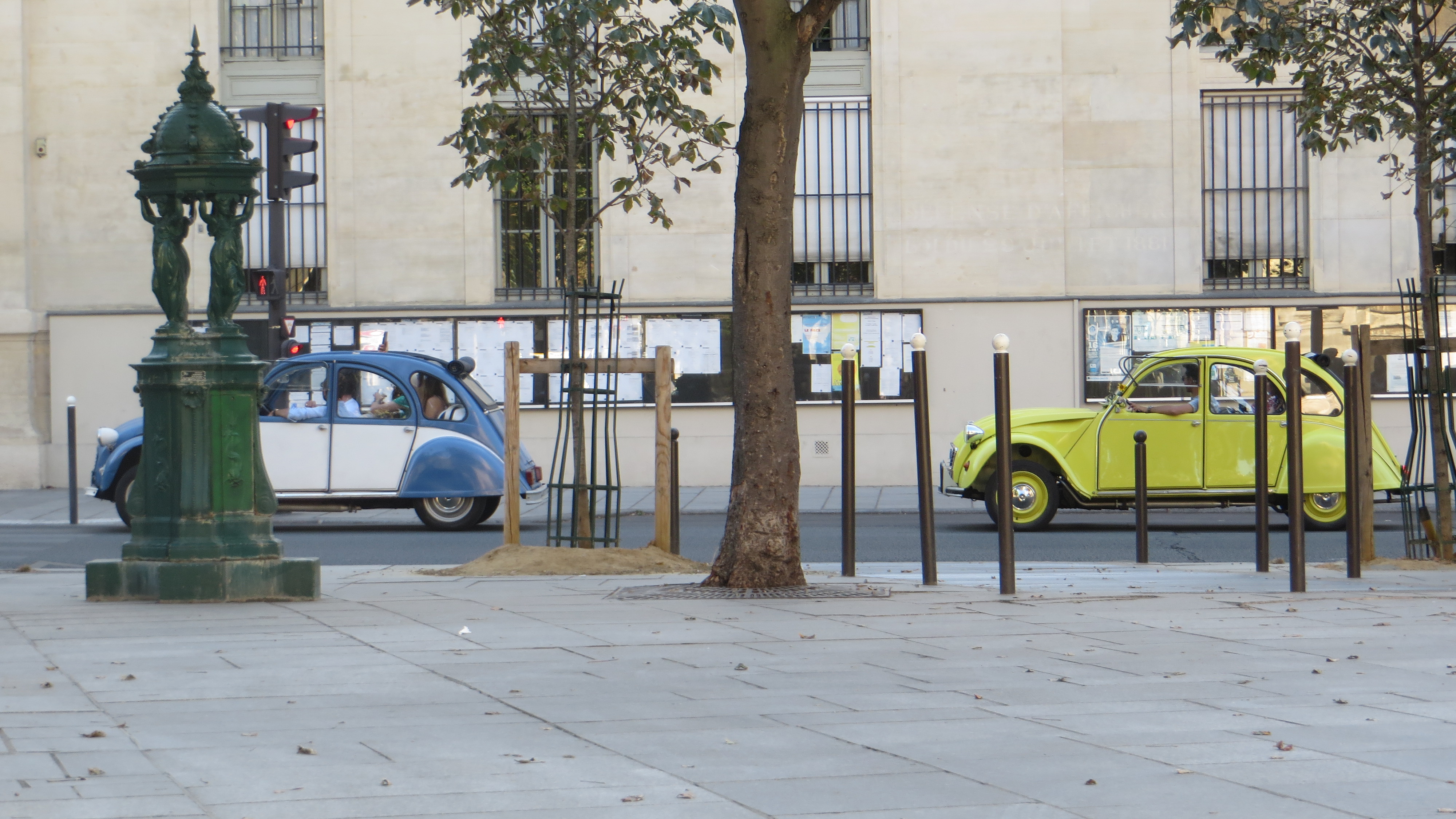 two old Volkswagon Beetle cars. The first is blue with white doors and the second is citrus yellow.