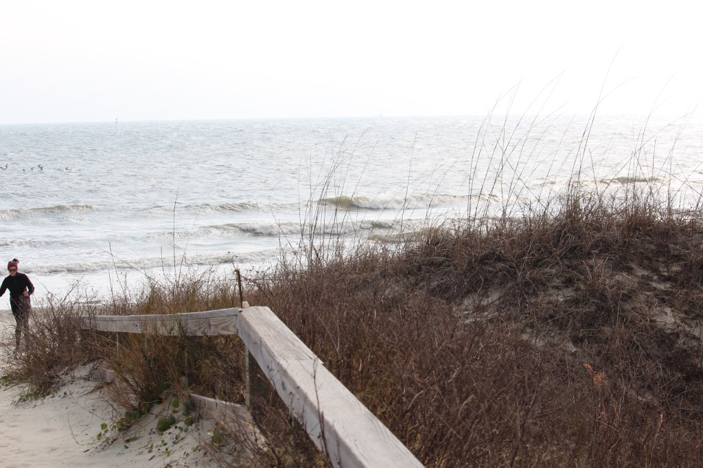 View from the top of the path to get to the beach.  Kerry is dressed in black at the end of the railing on the left hand side.  Sea grass is on the right and the ocean is in the background.